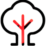 icon-9-e1782156955676.png